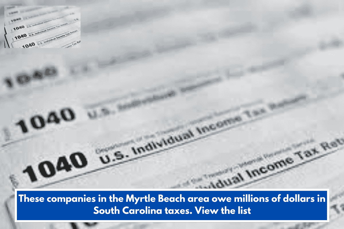 These companies in the Myrtle Beach area owe millions of dollars in South Carolina taxes. View the list