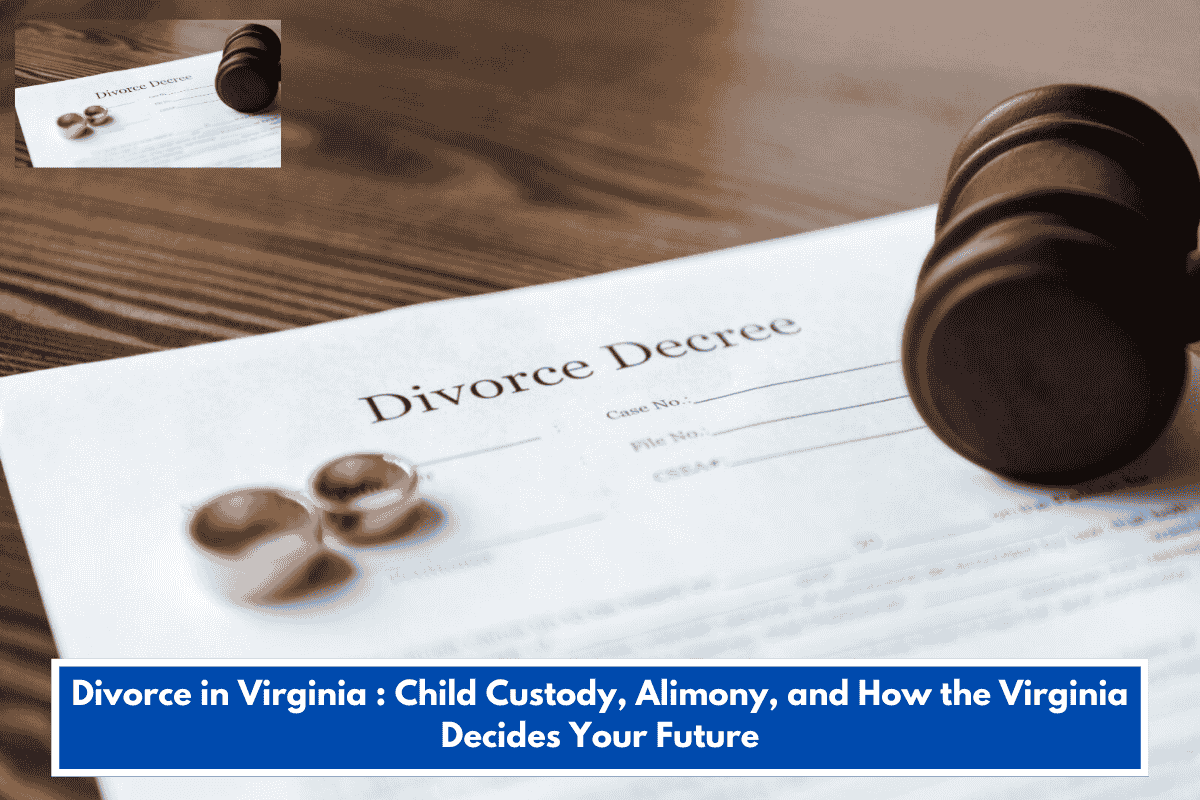 Divorce in Virginia : Child Custody, Alimony, and How the Virginia Decides Your Future