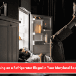 Is Sleeping on a Refrigerator Illegal in Your Maryland Backyard?