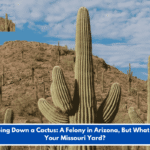 Chopping Down a Cactus: A Felony in Arizona, But What About Your Missouri Yard?