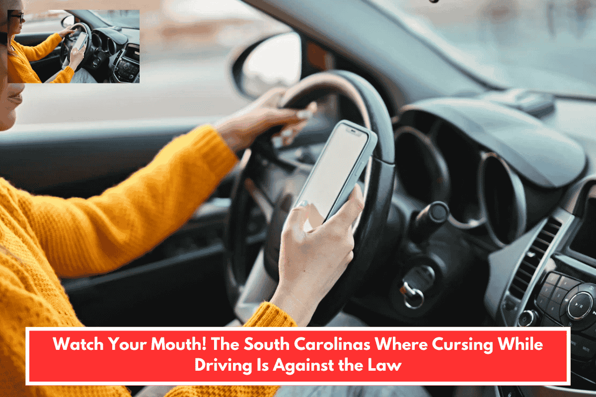 Watch Your Mouth! The South Carolinas Where Cursing While Driving Is Against the Law