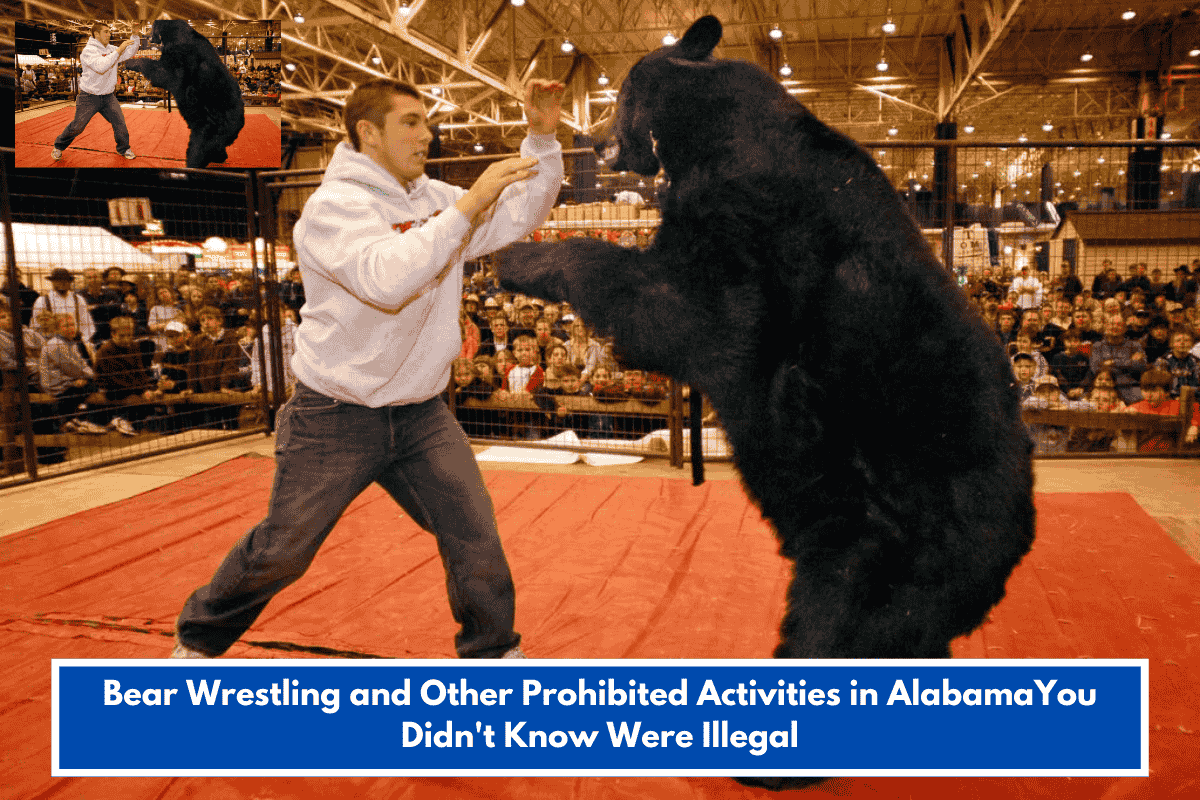 Bear Wrestling and Other Prohibited Activities in AlabamaYou Didn't Know Were Illegal