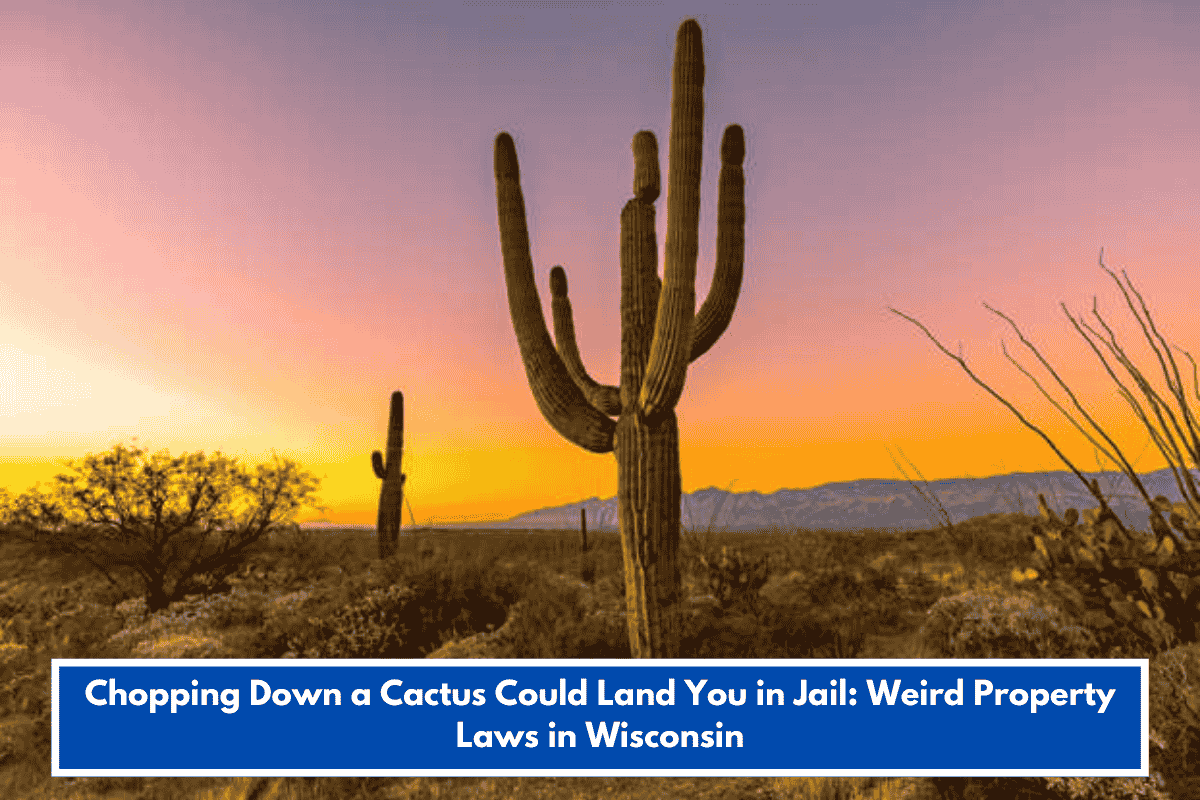 Chopping Down a Cactus Could Land You in Jail: Weird Property Laws in Wisconsin