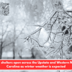 Cold shelters open across the Upstate and Western North Carolina as winter weather is expected