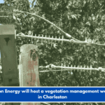 Dominion Energy will host a vegetation management workshop in Charleston