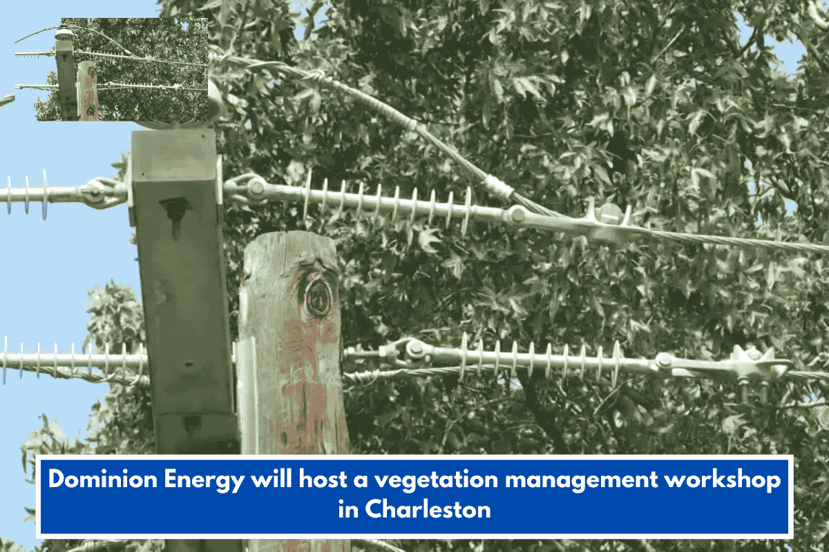 Dominion Energy will host a vegetation management workshop in Charleston