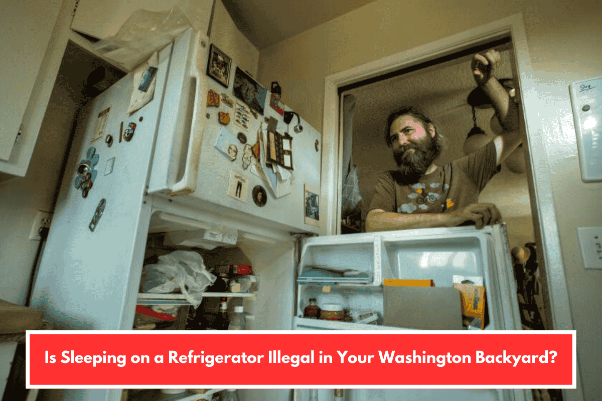 Is Sleeping on a Refrigerator Illegal in Your Washington Backyard?