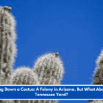 Chopping Down a Cactus: A Felony in Arizona, But What About Your Tennessee Yard?