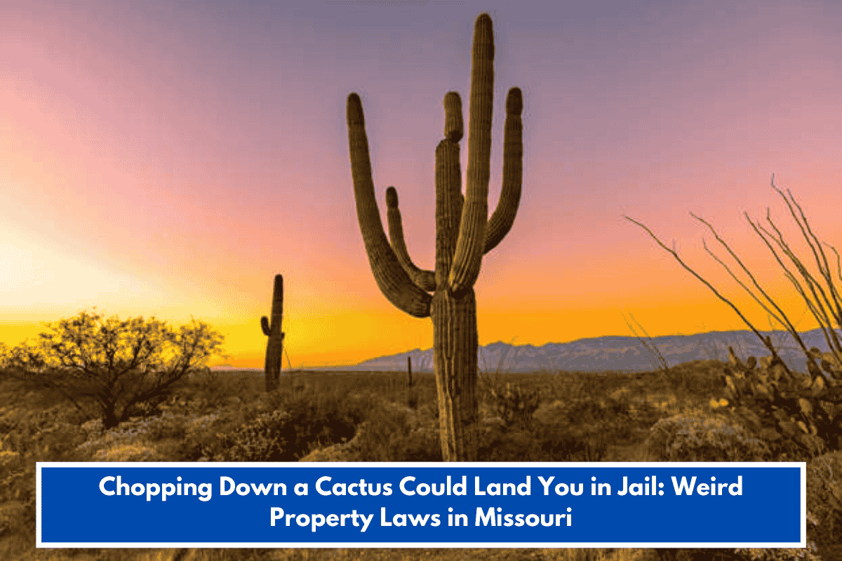Chopping Down a Cactus Could Land You in Jail: Weird Property Laws in Missouri