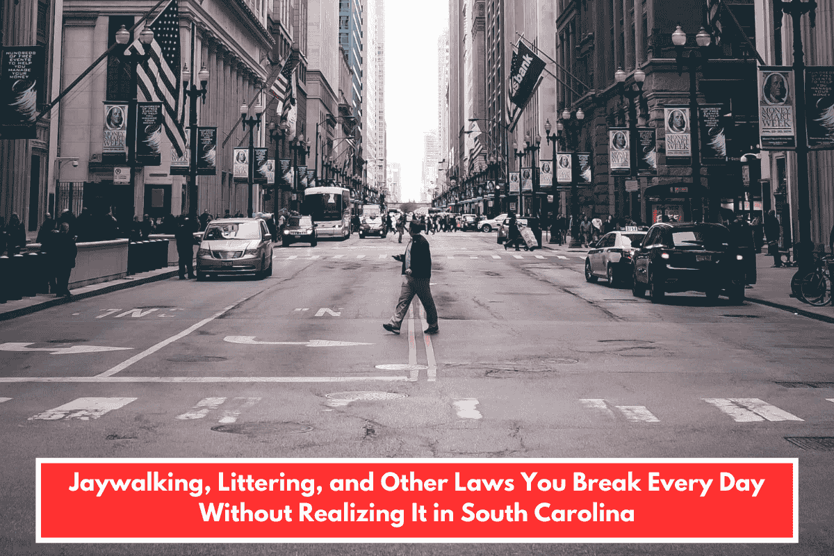 Jaywalking, Littering, and Other Laws You Break Every Day Without Realizing It in South Carolina