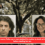 Heard screams: Police say a man stabbed his mother to death at her house before stealing her car.