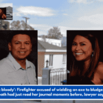 It was just bloody': Firefighter accused of wielding an axe to bludgeon wife to death had just read her journal moments before, lawyer says.