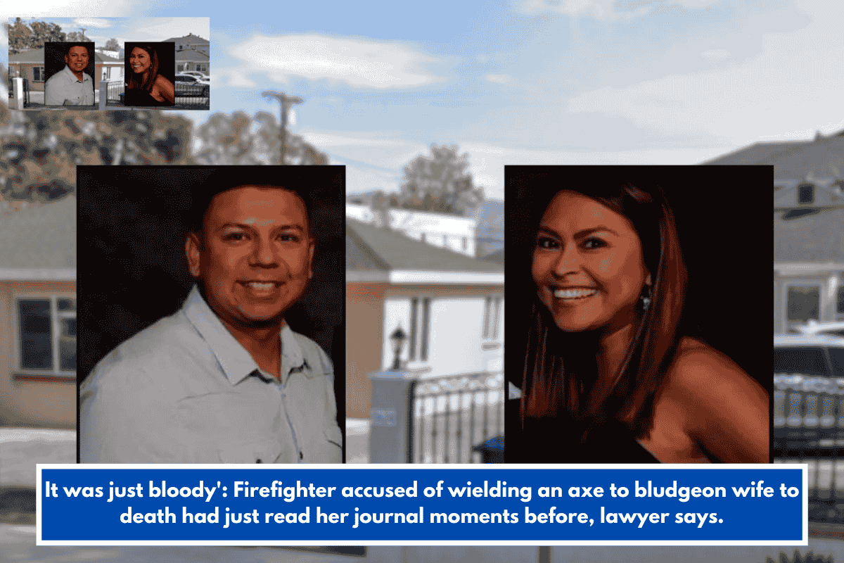 It was just bloody': Firefighter accused of wielding an axe to bludgeon wife to death had just read her journal moments before, lawyer says.