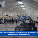 Flight delays are anticipated for Lowcountry passengers due to the winter storm. What to know: