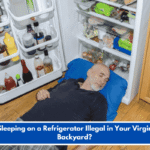 Is Sleeping on a Refrigerator Illegal in Your Virginia Backyard?