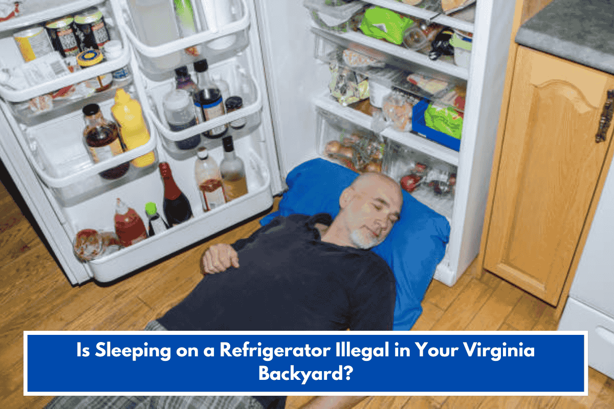 Is Sleeping on a Refrigerator Illegal in Your Virginia Backyard?