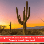 Chopping Down a Cactus Could Land You in Jail: Weird Property Laws in Maryland