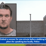A man choked a woman for one minute before stabbing her with pliers for speaking too loudly. Police