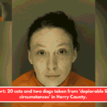 Report: 20 cats and two dogs taken from 'deplorable living circumstances' in Horry County.