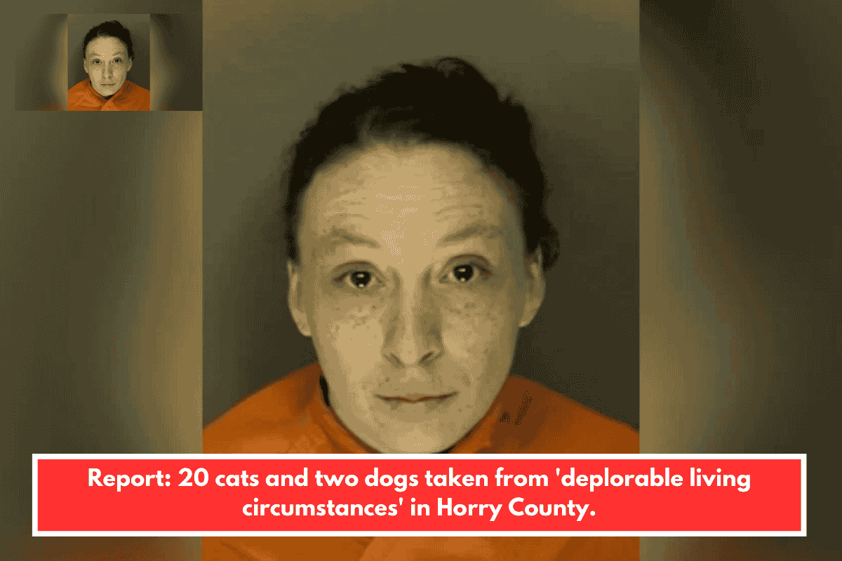 Report: 20 cats and two dogs taken from 'deplorable living circumstances' in Horry County.