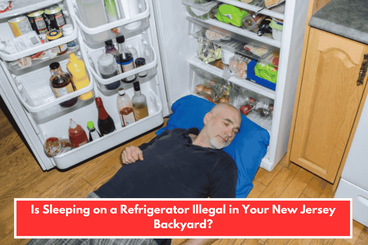 Is Sleeping on a Refrigerator Illegal in Your New Jersey Backyard?