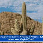 Chopping Down a Cactus: A Felony in Arizona, But What About Your Virginia Yard?