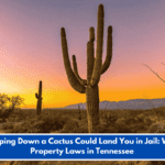 Chopping Down a Cactus Could Land You in Jail: Weird Property Laws in Tennessee