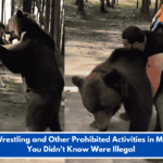 Bear Wrestling and Other Prohibited Activities in Missouri You Didn't Know Were Illegal