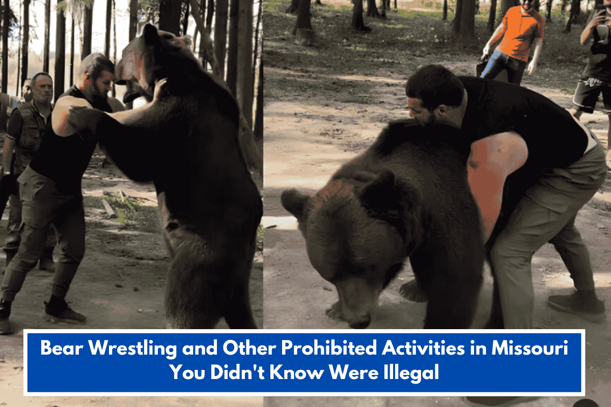 Bear Wrestling and Other Prohibited Activities in Missouri You Didn't Know Were Illegal