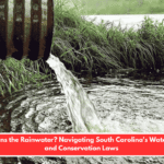 Who Owns the Rainwater? Navigating South Carolina's Water Rights and Conservation Laws