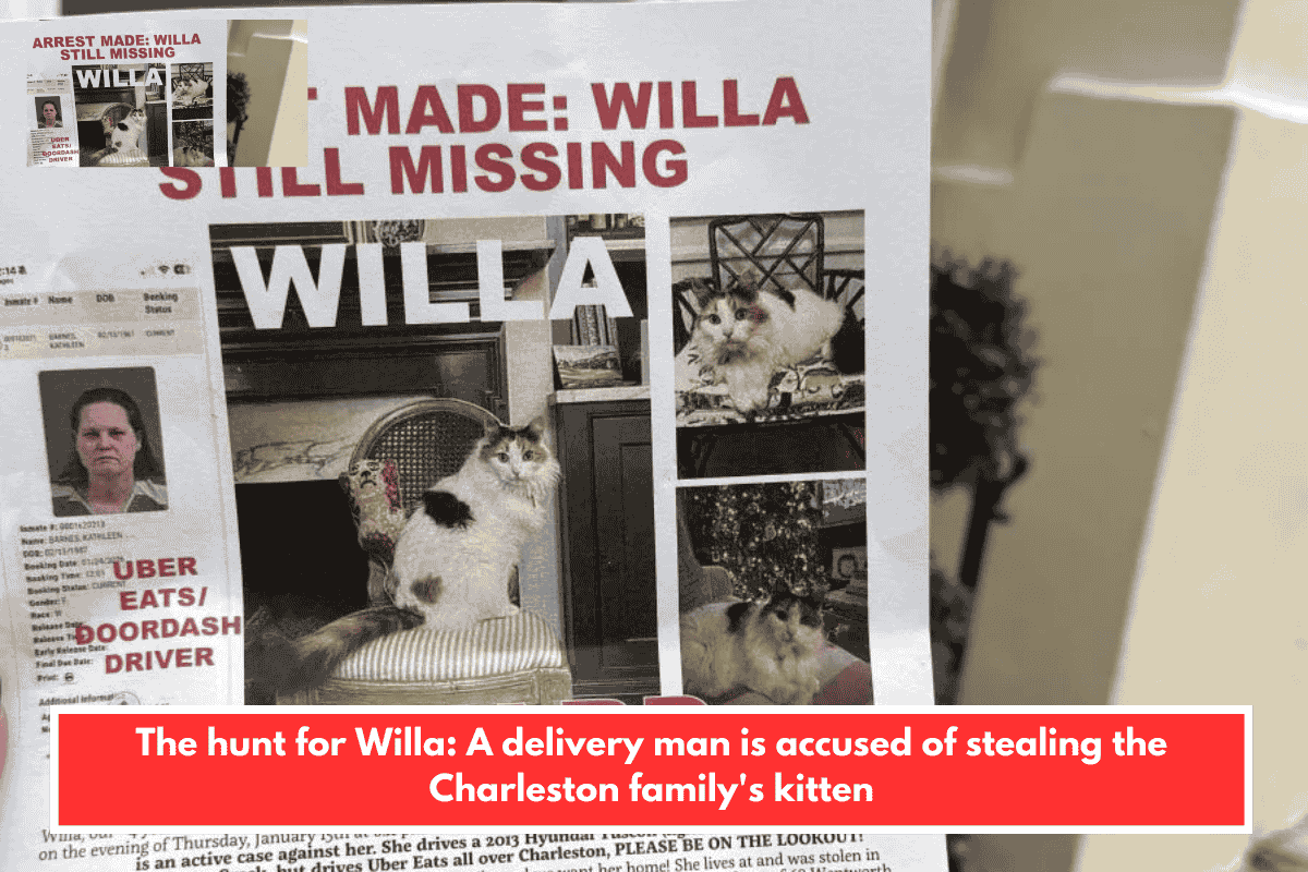 The hunt for Willa: A delivery man is accused of stealing the Charleston family's kitten
