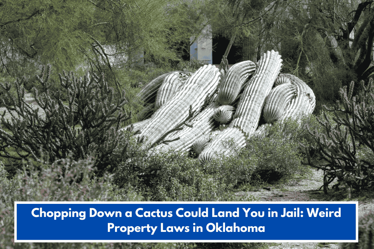 Chopping Down a Cactus Could Land You in Jail: Weird Property Laws in Oklahoma