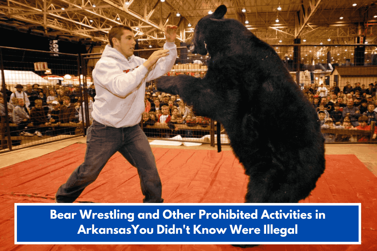 Bear Wrestling and Other Prohibited Activities in ArkansasYou Didn't Know Were Illegal