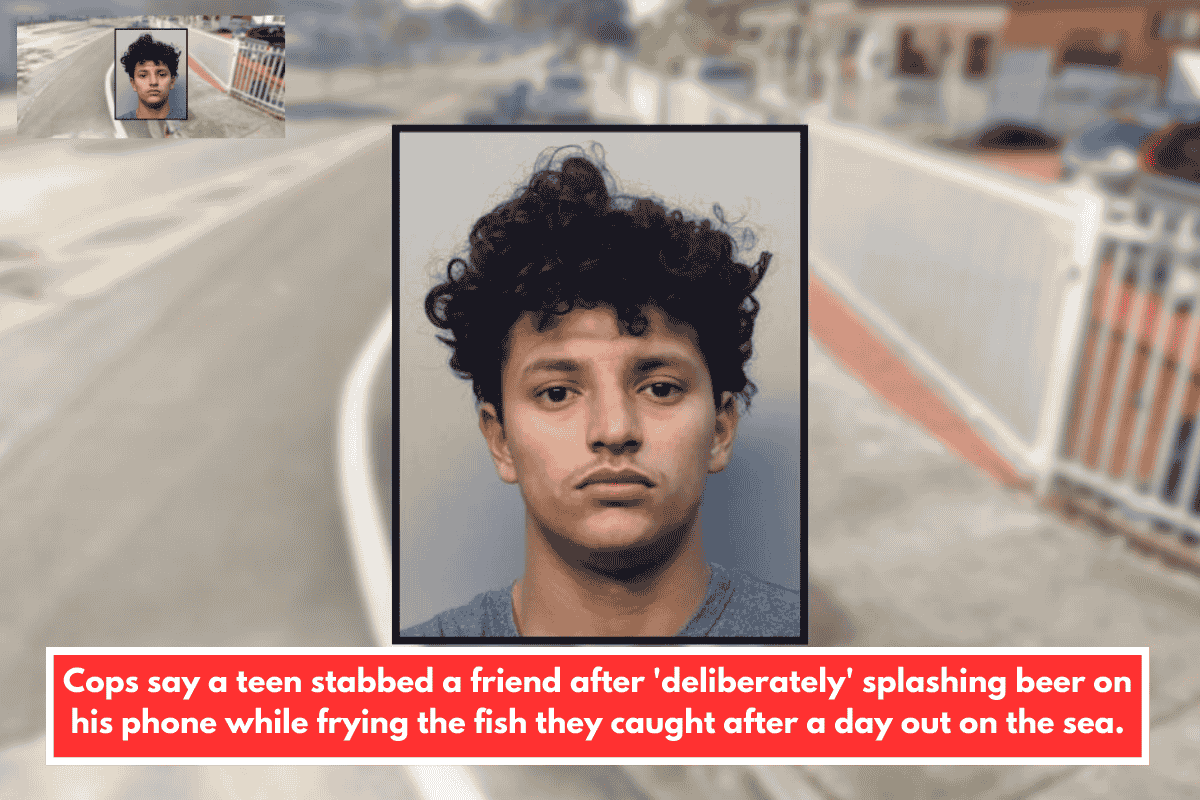 Cops say a teen stabbed a friend after 'deliberately' splashing beer on his phone while frying the fish they caught after a day out on the sea.