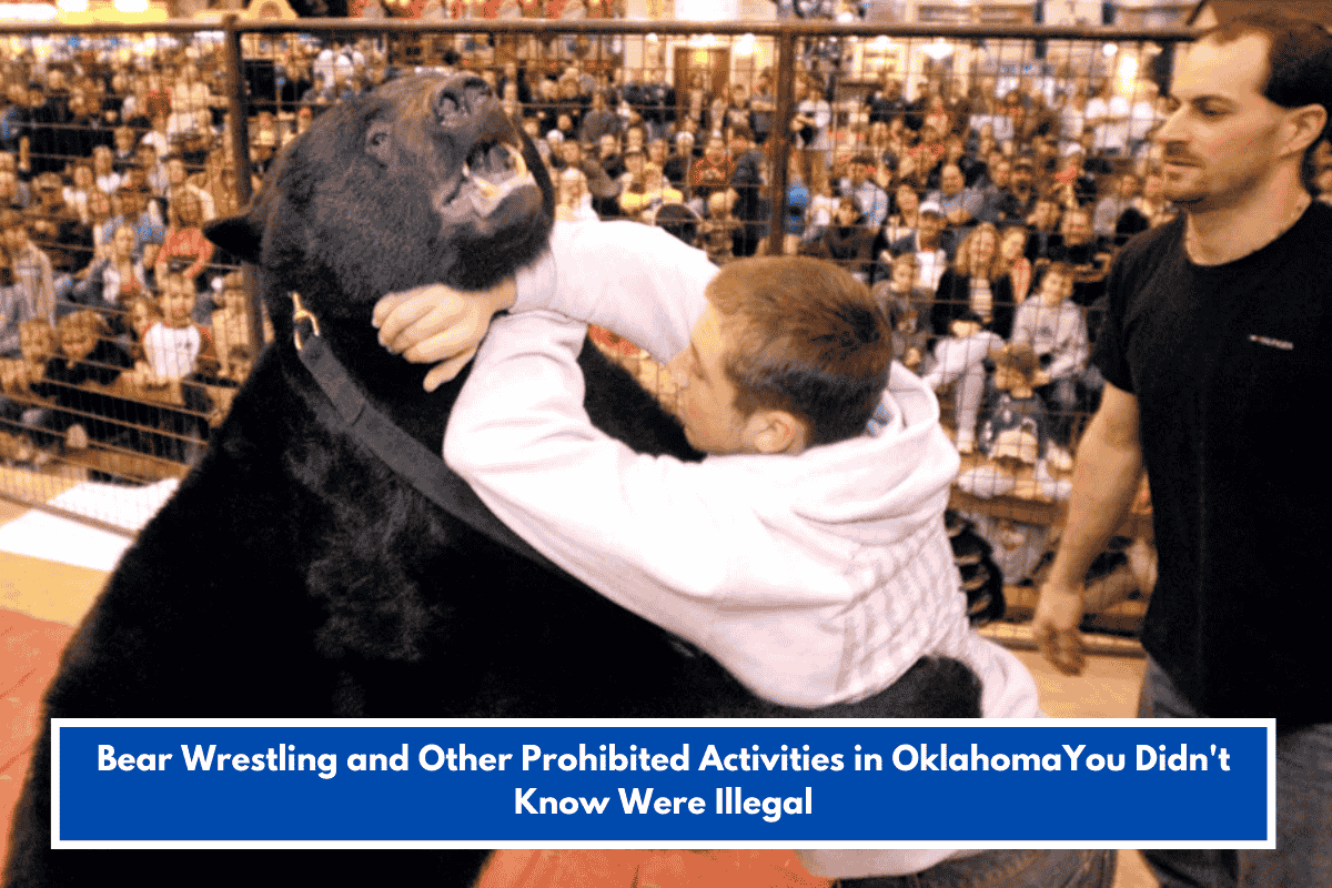 Bear Wrestling and Other Prohibited Activities in OklahomaYou Didn't Know Were Illegal