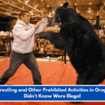 Bear Wrestling and Other Prohibited Activities in OregonYou Didn't Know Were Illegal