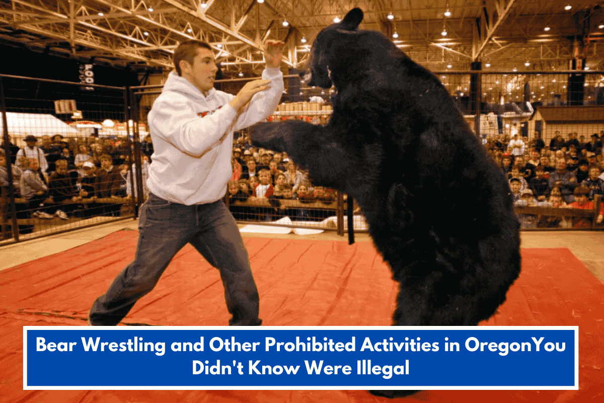 Bear Wrestling and Other Prohibited Activities in OregonYou Didn't Know Were Illegal