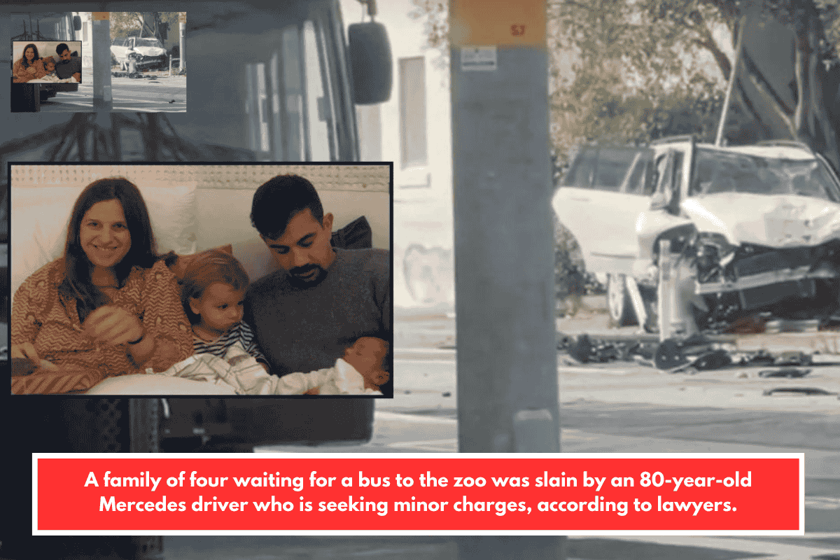 A family of four waiting for a bus to the zoo was slain by an 80-year-old Mercedes driver who is seeking minor charges, according to lawyers.