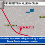 Pedestrian dies days after being struck by a vehicle near Goose Creek, coroner reports.