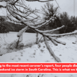 According to the most recent coroner's report, four people died during the weekend ice storm in South Carolina. This is what we know.