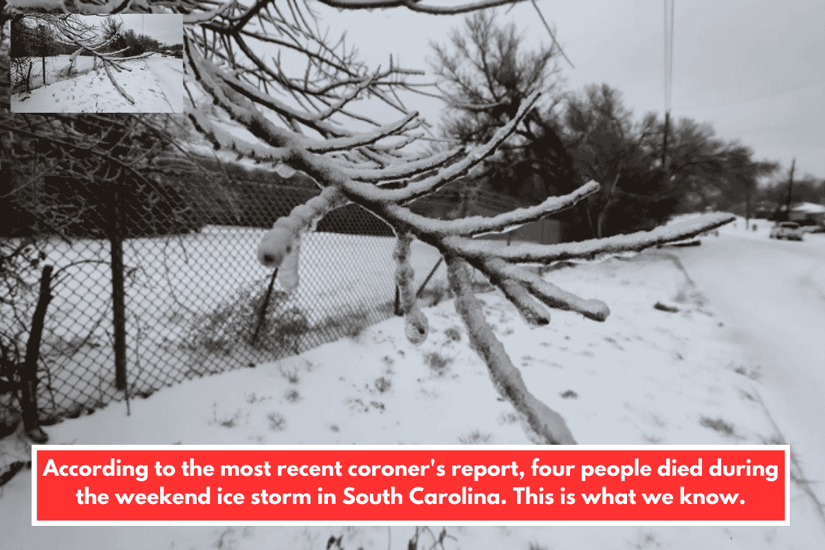 According to the most recent coroner's report, four people died during the weekend ice storm in South Carolina. This is what we know.