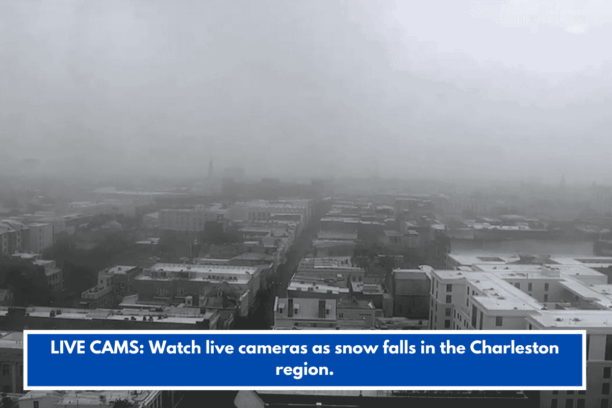 LIVE CAMS: Watch live cameras as snow falls in the Charleston region.