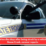 Pedestrian dies days after being struck by a vehicle near Goose Creek, coroner reports.