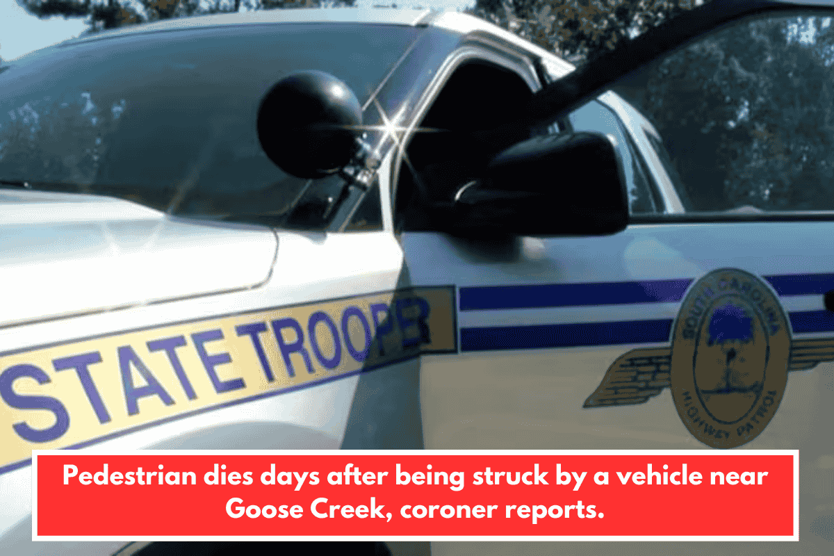Pedestrian dies days after being struck by a vehicle near Goose Creek, coroner reports.