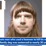 An Illinois man who used a hammer to kill his mother and family dog was sentenced to nearly 30 years.