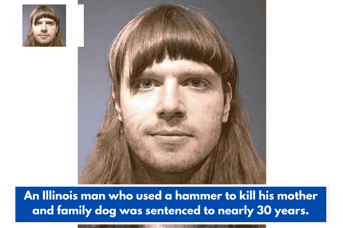 An Illinois man who used a hammer to kill his mother and family dog was sentenced to nearly 30 years.