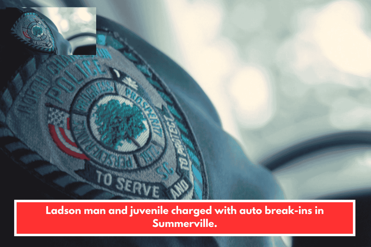 Ladson man and juvenile charged with auto break-ins in Summerville.