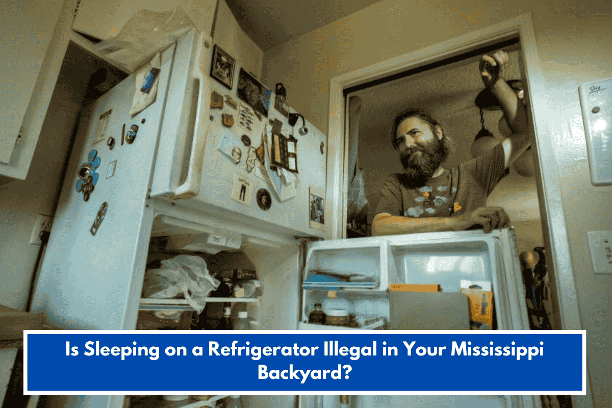 Is Sleeping on a Refrigerator Illegal in Your Mississippi Backyard?
