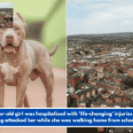 A 10-year-old girl was hospitalized with 'life-changing' injuries when a dog attacked her while she was walking home from school.