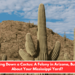 Chopping Down a Cactus: A Felony in Arizona, But What About Your Mississippi Yard?